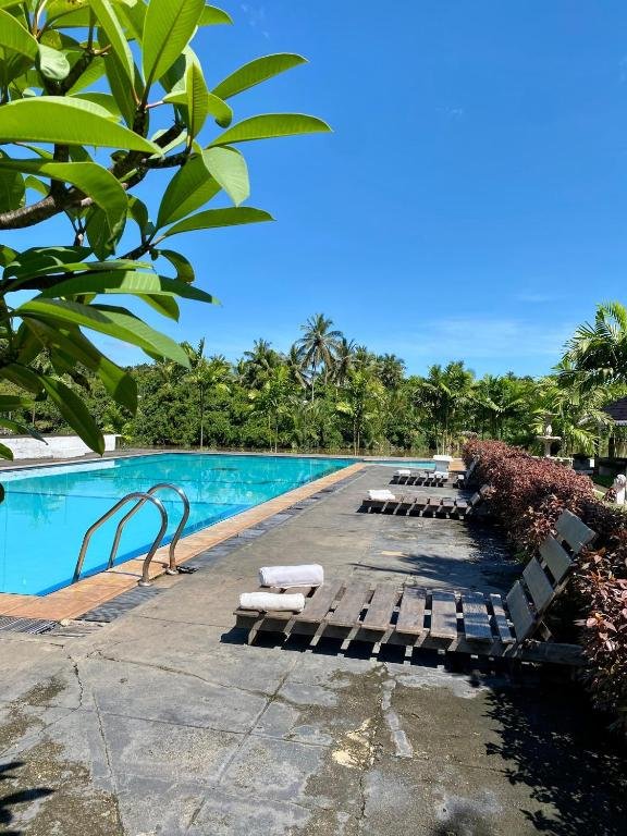 Poolside loungers beneath tropical palms