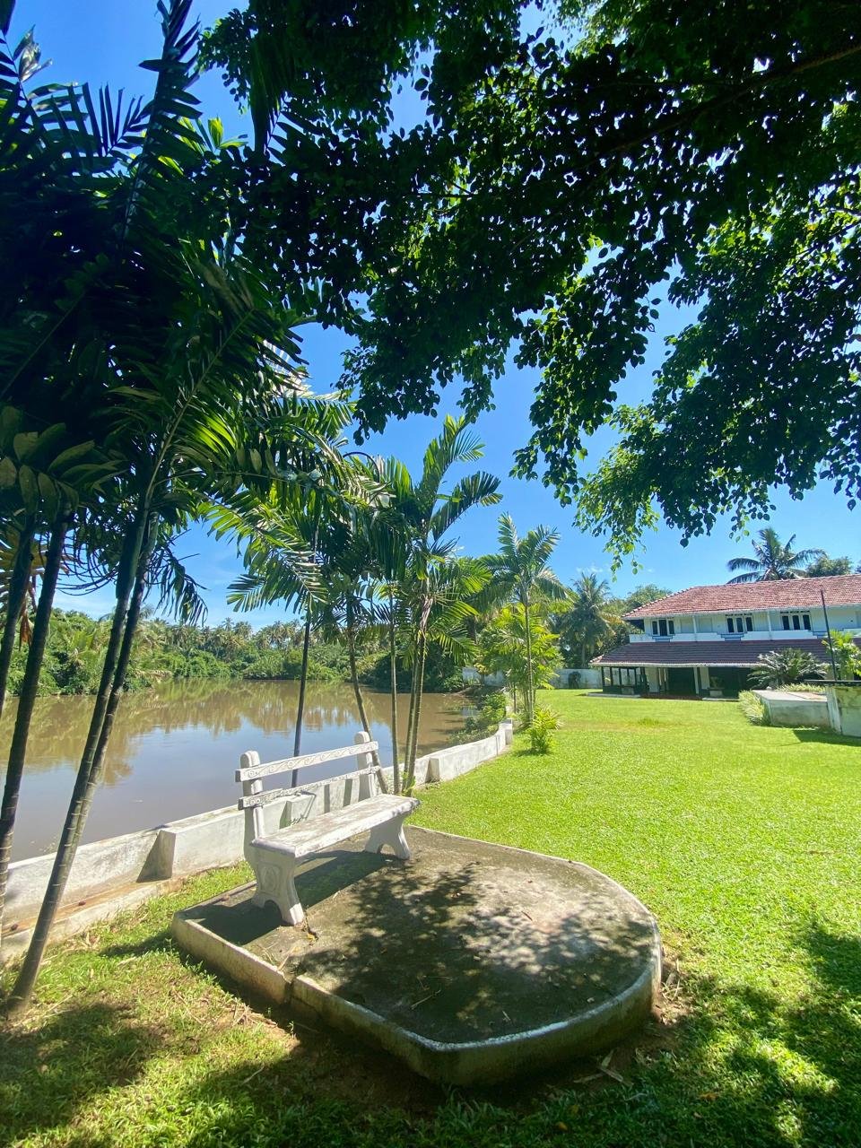 Garden beside the water